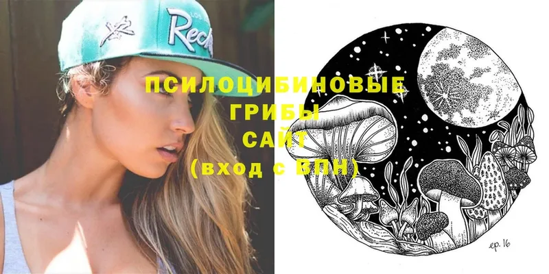 купить  сайты  Завитинск  Псилоцибиновые грибы Cubensis 